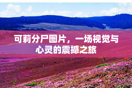 可莉分尸图片，一场视觉与心灵的震撼之旅