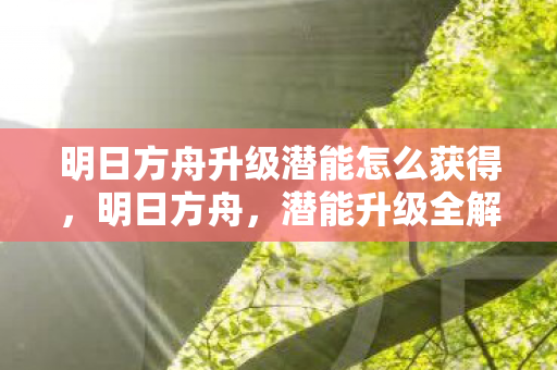 明日方舟升级潜能怎么获得，明日方舟，潜能升级全解析—解锁角色新境界