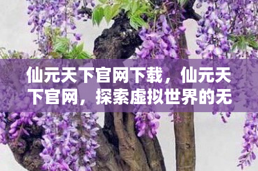 仙元天下官网下载，仙元天下官网，探索虚拟世界的无限可能