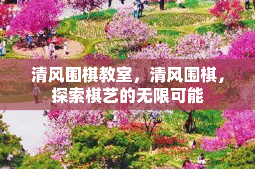 清风围棋教室，清风围棋，探索棋艺的无限可能