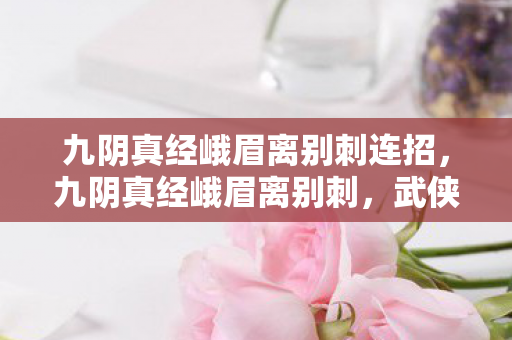 九阴真经峨眉离别刺连招，九阴真经峨眉离别刺，武侠世界中的绝世武技