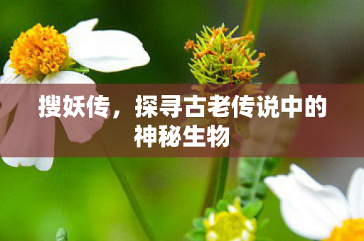 搜妖传，探寻古老传说中的神秘生物