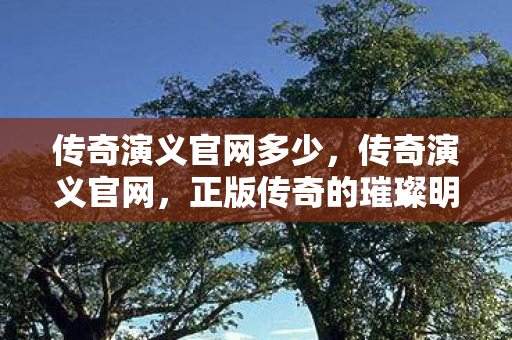 传奇演义官网多少，传奇演义官网，正版传奇的璀璨明珠