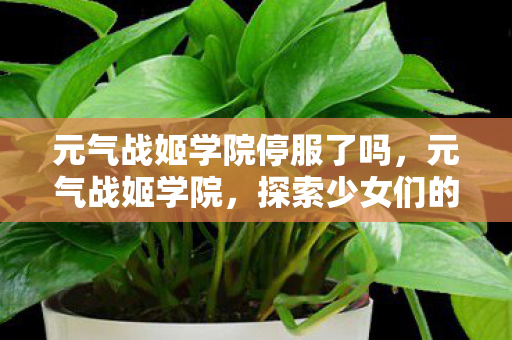 元气战姬学院停服了吗，元气战姬学院，探索少女们的战斗与成长之旅