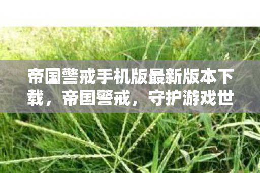 帝国警戒手机版最新版本下载，帝国警戒，守护游戏世界的正义与秩序