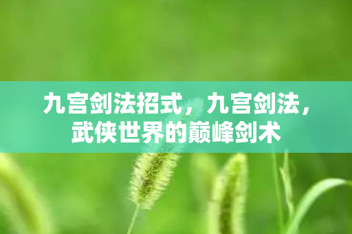 九宫剑法招式，九宫剑法，武侠世界的巅峰剑术