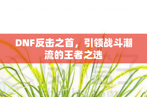 DNF反击之首,引领战斗潮流的王者之选 DNF反击之首,引领战斗潮流的王者之选