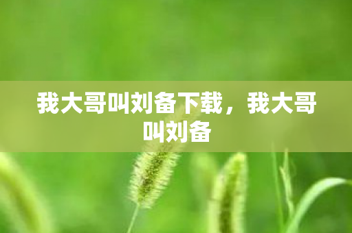 我大哥叫刘备下载，我大哥叫刘备