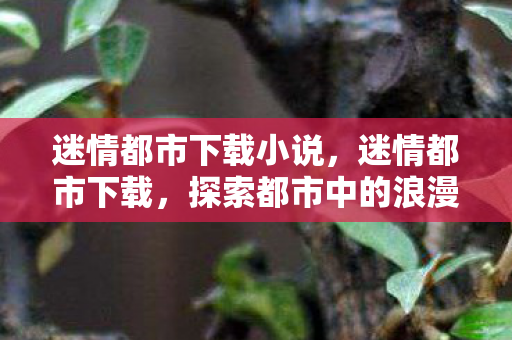 迷情都市下载小说，迷情都市下载，探索都市中的浪漫与冒险