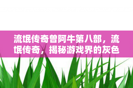 流氓传奇曾阿牛第八部，流氓传奇，揭秘游戏界的灰色阴影