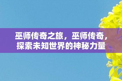 巫师传奇之旅，巫师传奇，探索未知世界的神秘力量