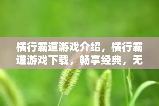 横行霸道游戏介绍，横行霸道游戏下载，畅享经典，无需顾虑