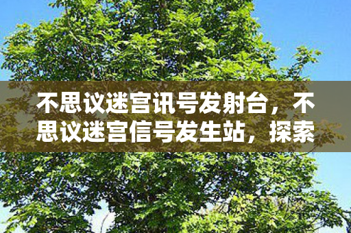 不思议迷宫讯号发射台，不思议迷宫信号发生站，探索未知世界的神秘信号