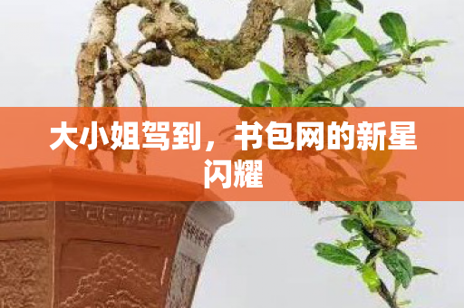大小姐驾到，书包网的新星闪耀