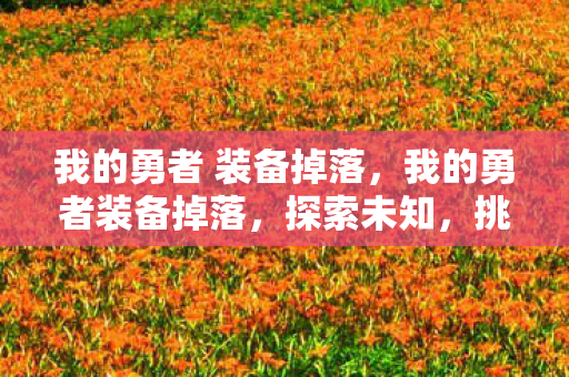 我的勇者 装备掉落，我的勇者装备掉落，探索未知，挑战极限