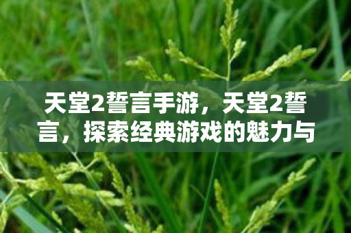 天堂2誓言手游，天堂2誓言，探索经典游戏的魅力与传承