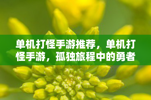 单机打怪手游推荐，单机打怪手游，孤独旅程中的勇者之战