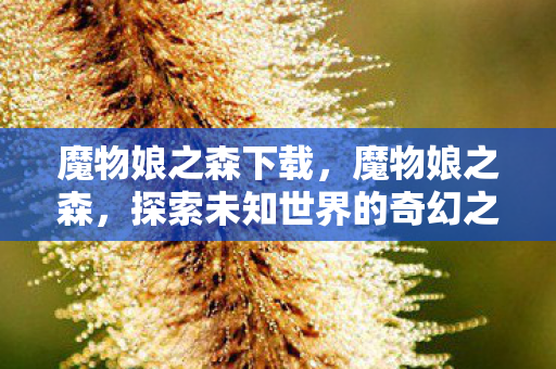 魔物娘之森下载，魔物娘之森，探索未知世界的奇幻之旅