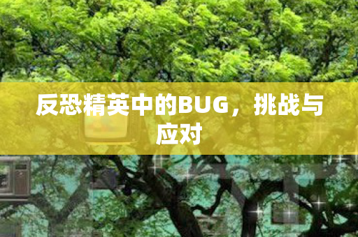 反恐精英中的BUG，挑战与应对