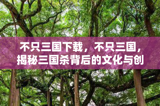 不只三国下载，不只三国，揭秘三国杀背后的文化与创新