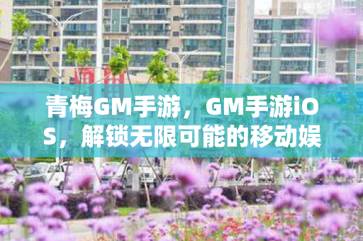 青梅GM手游，GM手游iOS，解锁无限可能的移动娱乐新纪元