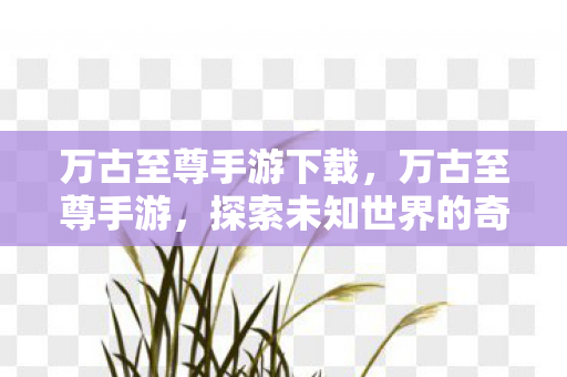 万古至尊手游下载，万古至尊手游，探索未知世界的奇幻之旅