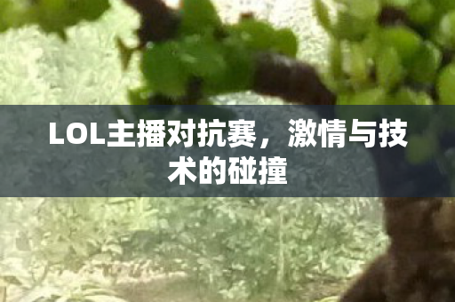 LOL主播对抗赛，激情与技术的碰撞