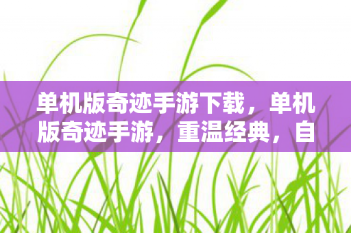 单机版奇迹手游下载，单机版奇迹手游，重温经典，自由探索的娱乐新选择
