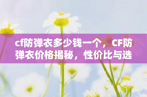 cf防弹衣多少钱一个，CF防弹衣价格揭秘，性价比与选择的艺术