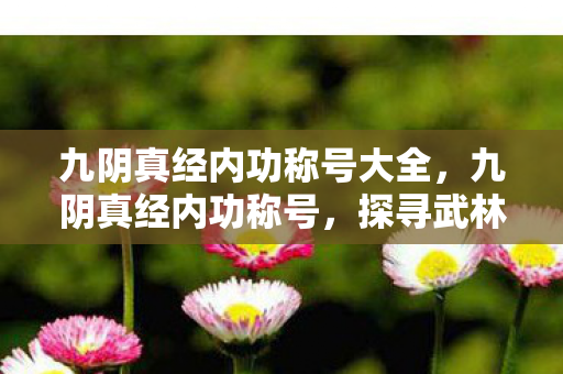 九阴真经内功称号大全，九阴真经内功称号，探寻武林的奥秘