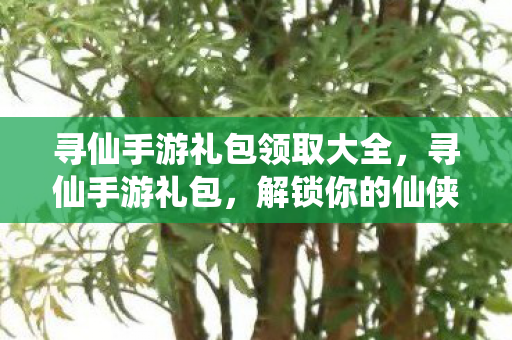 寻仙手游礼包领取大全，寻仙手游礼包，解锁你的仙侠之旅