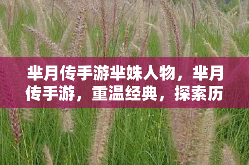 芈月传手游芈姝人物，芈月传手游，重温经典，探索历史新篇章