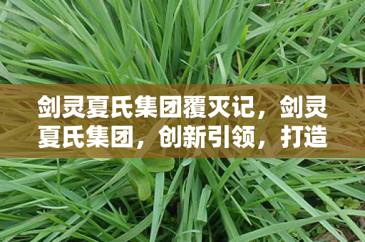 剑灵夏氏集团覆灭记，剑灵夏氏集团，创新引领，打造游戏产业新生态