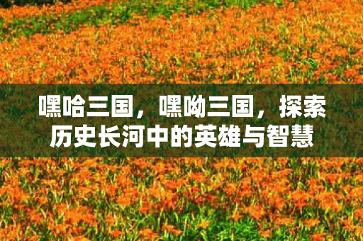 嘿哈三国，嘿呦三国，探索历史长河中的英雄与智慧