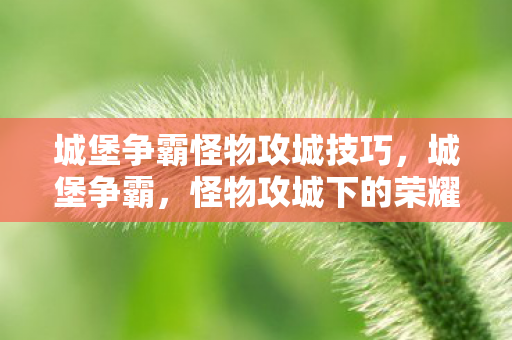 城堡争霸怪物攻城技巧，城堡争霸，怪物攻城下的荣耀与策略