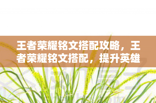 王者荣耀铭文搭配攻略，王者荣耀铭文搭配，提升英雄战斗力的关键