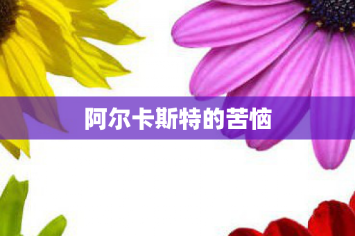 阿尔卡斯特的苦恼