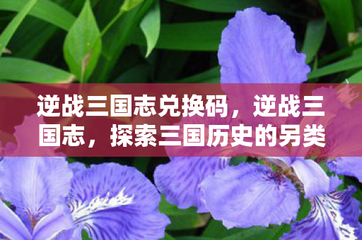 逆战三国志兑换码，逆战三国志，探索三国历史的另类战场