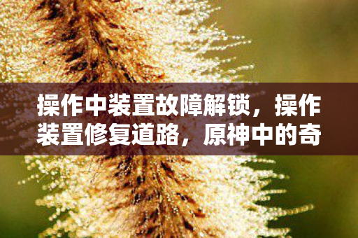 操作中装置故障解锁，操作装置修复道路，原神中的奇妙之旅