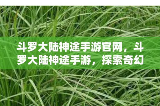斗罗大陆神途手游官网，斗罗大陆神途手游，探索奇幻世界的奇妙之旅