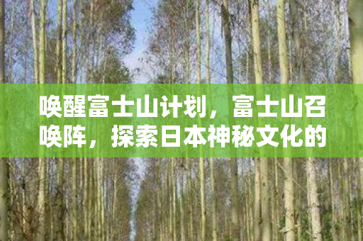 唤醒富士山计划，富士山召唤阵，探索日本神秘文化的奇幻之旅