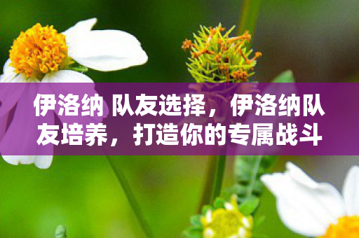 伊洛纳 队友选择，伊洛纳队友培养，打造你的专属战斗伙伴