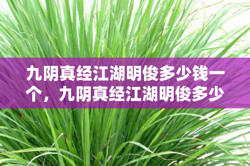 九阴真经江湖明俊多少钱一个，九阴真经江湖明俊多少钱