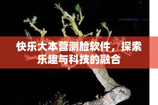 快乐大本营测脸软件，探索乐趣与科技的融合