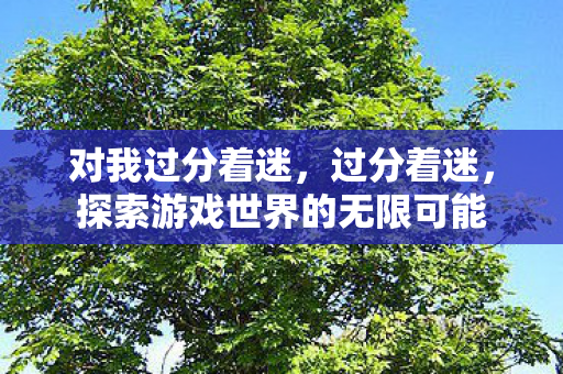 对我过分着迷，过分着迷，探索游戏世界的无限可能