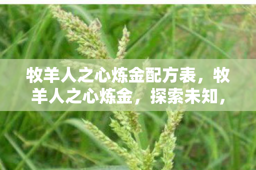 牧羊人之心炼金配方表，牧羊人之心炼金，探索未知，打造传奇