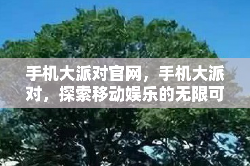 手机大派对官网，手机大派对，探索移动娱乐的无限可能