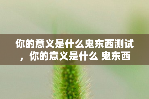 你的意义是什么鬼东西测试，你的意义是什么 鬼东西