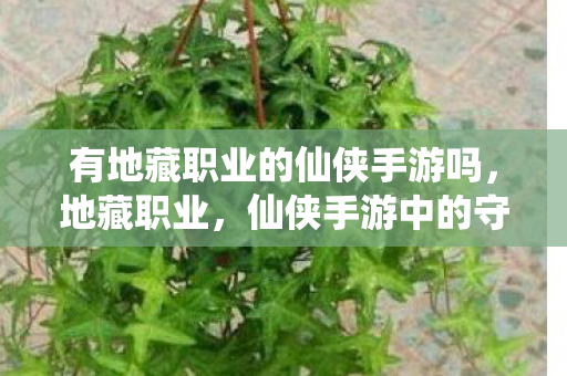 有地藏职业的仙侠手游吗，地藏职业，仙侠手游中的守护神