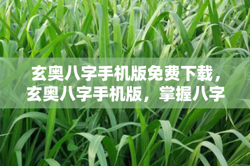 玄奥八字手机版免费下载，玄奥八字手机版，掌握八字精髓，随时随地洞悉命运